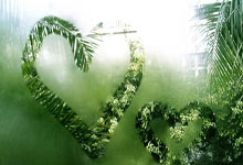  费德勒新星势不可挡表现惊艳，法国队未来可期！